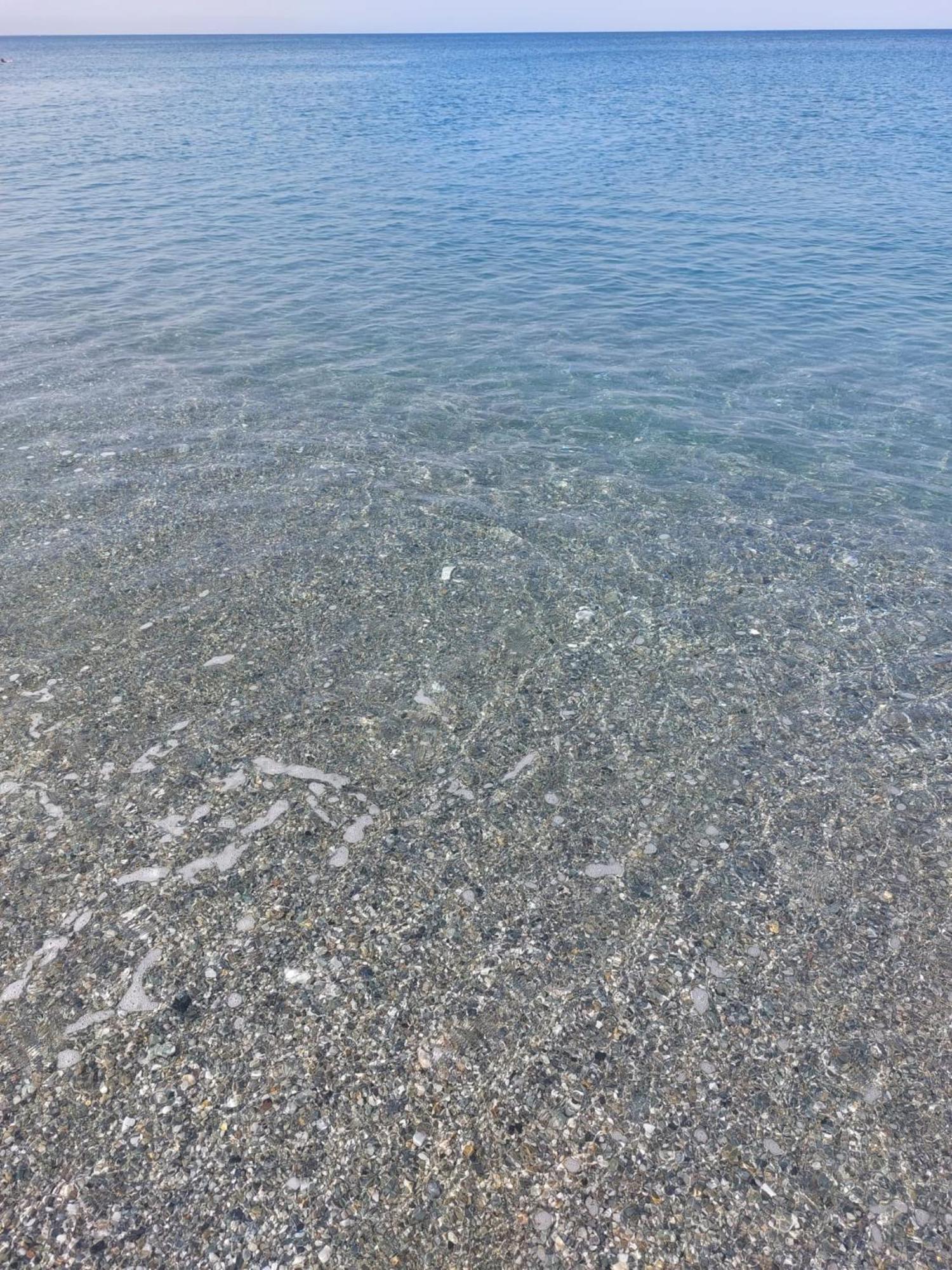 Ulisse Calabria *